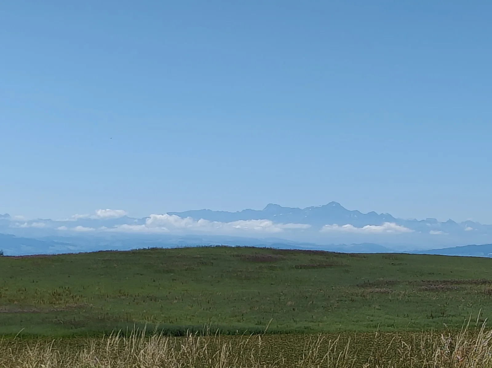 Вид с башни Герренберг на Боденское озеро и Альпы