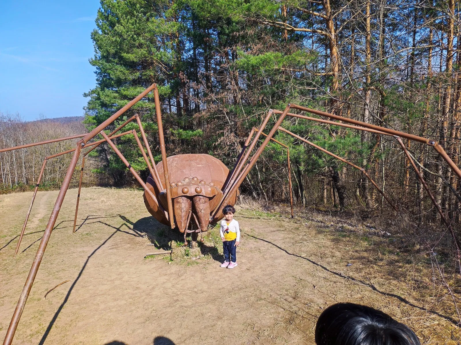 Вид с башни Шёнбухт на лес и холмы