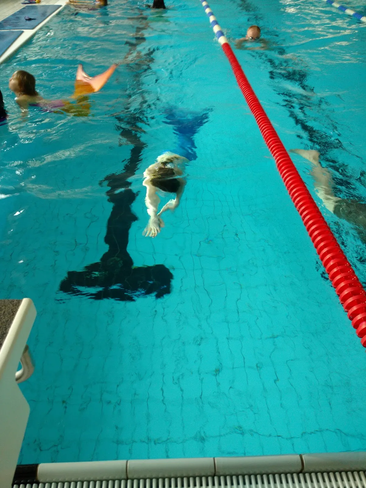 Плавание в крытом бассейне острова Фишер