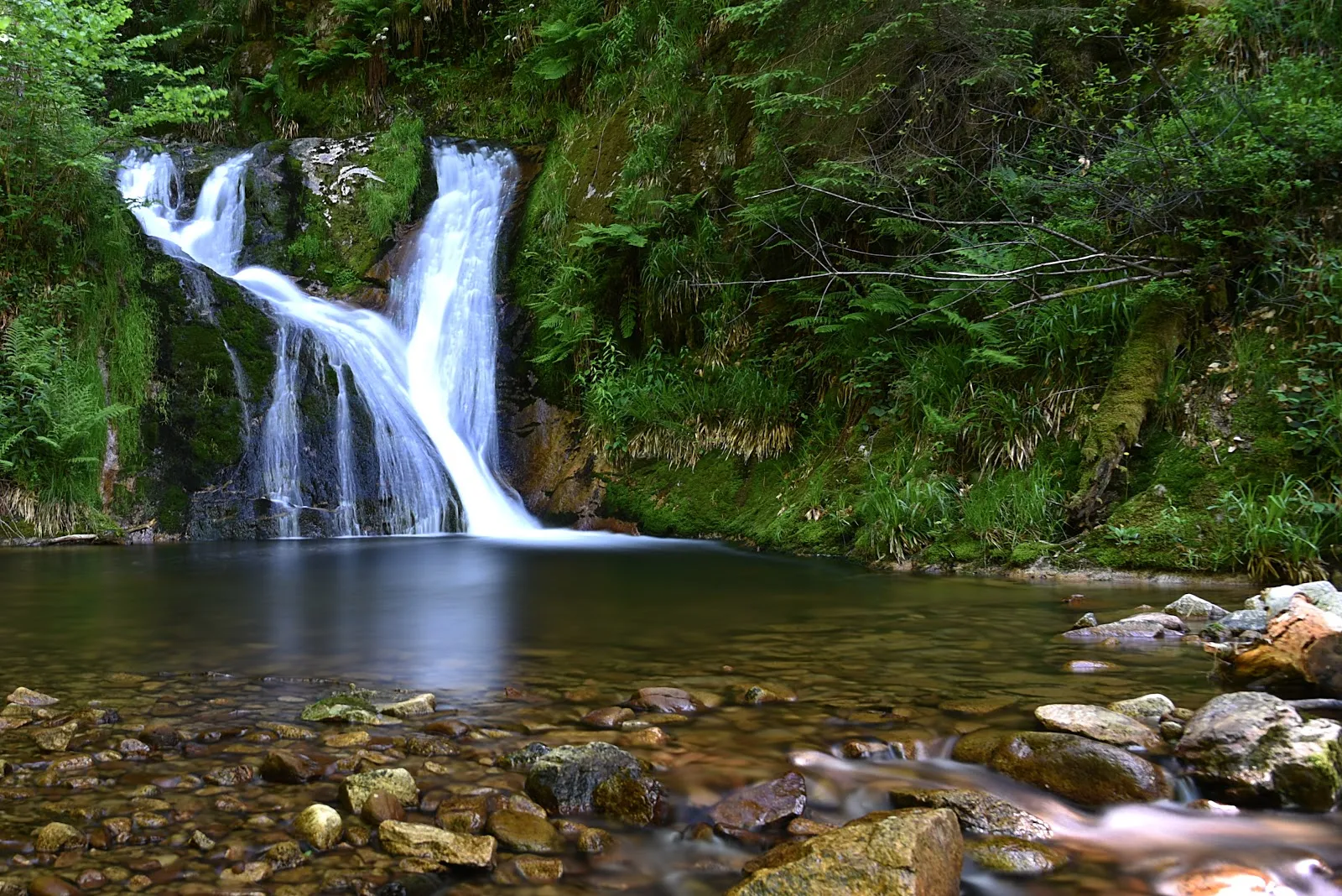 Руины аббатства Аллерхайлиген на фоне деревьев