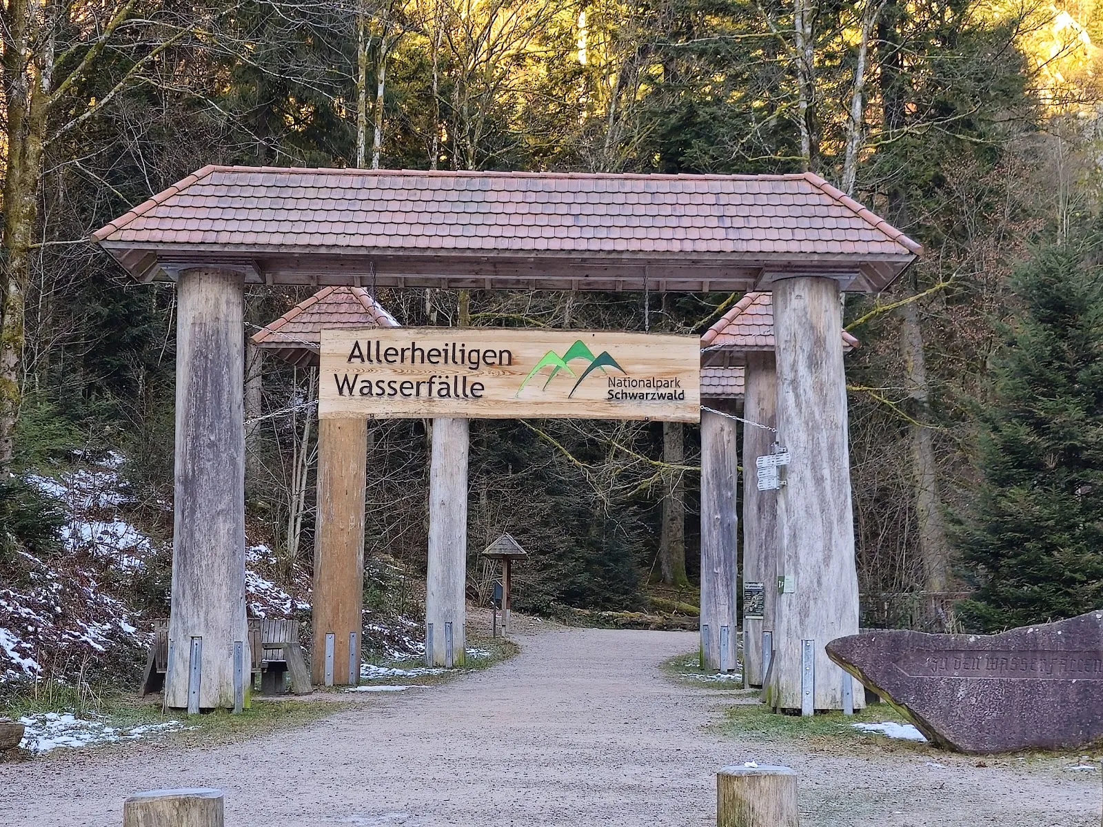 Руины аббатства Аллерхайлиген на фоне деревьев