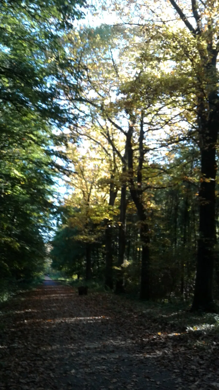 Здание Бенедиктинского аббатства Ангермунд
