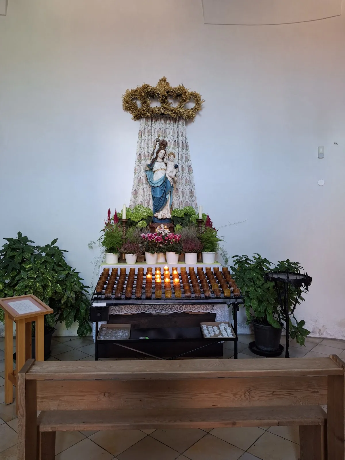 Вид на Бенедиктинское аббатство Шефтларн