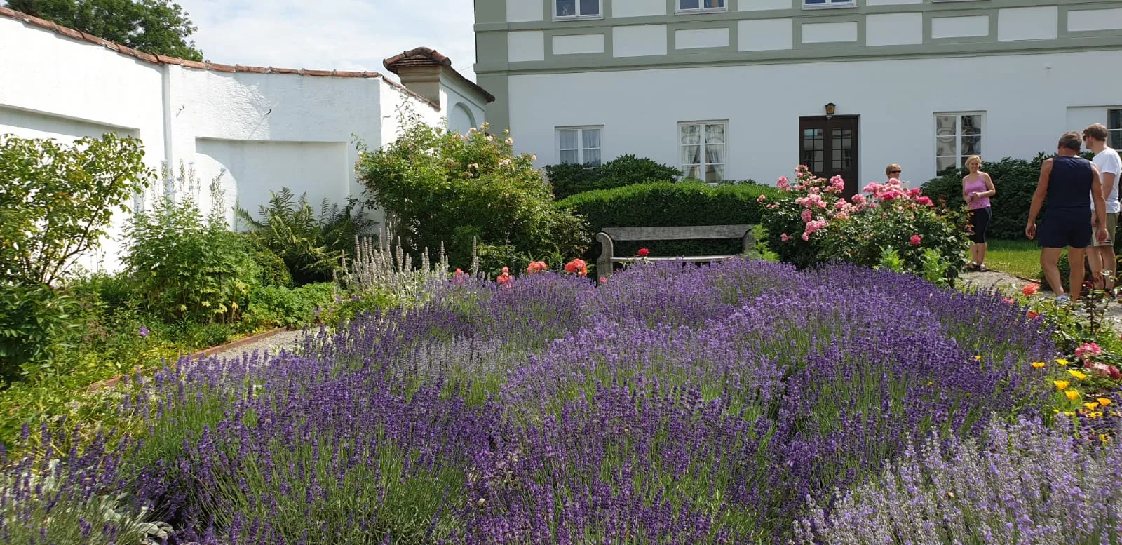 Вид на Бенедиктинское аббатство Шефтларн