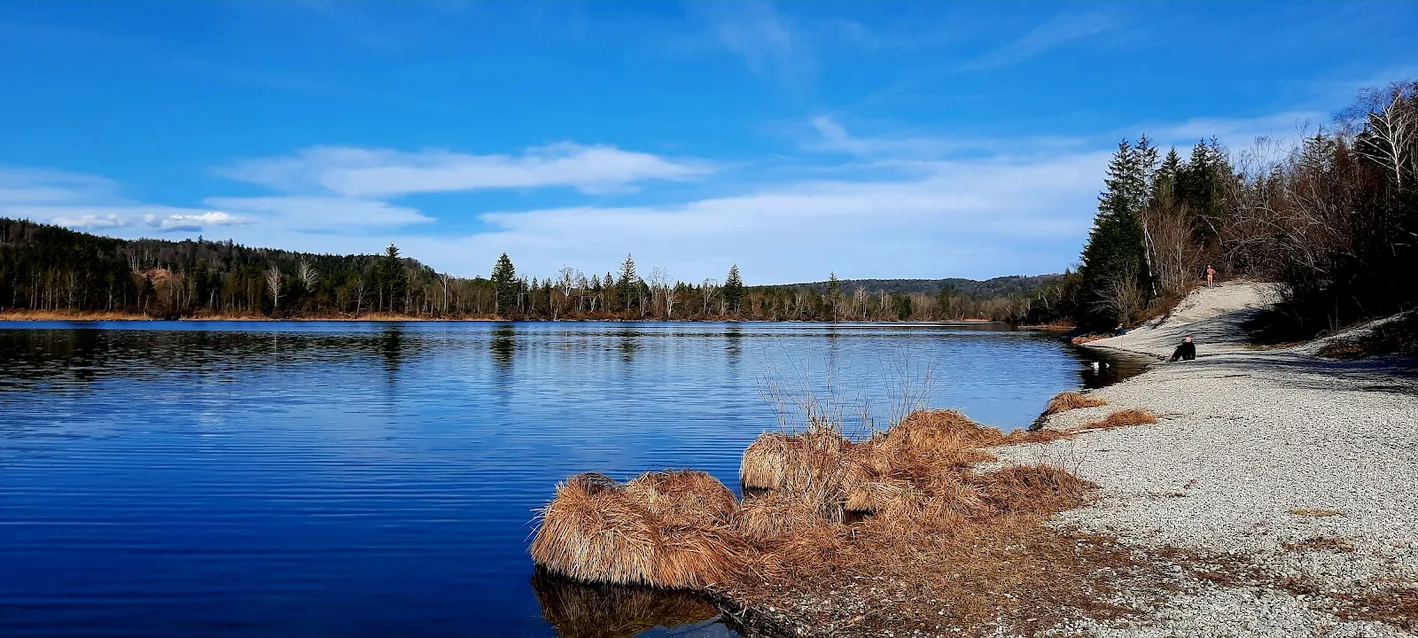 Вид на Бенедиктинское аббатство Шефтларн