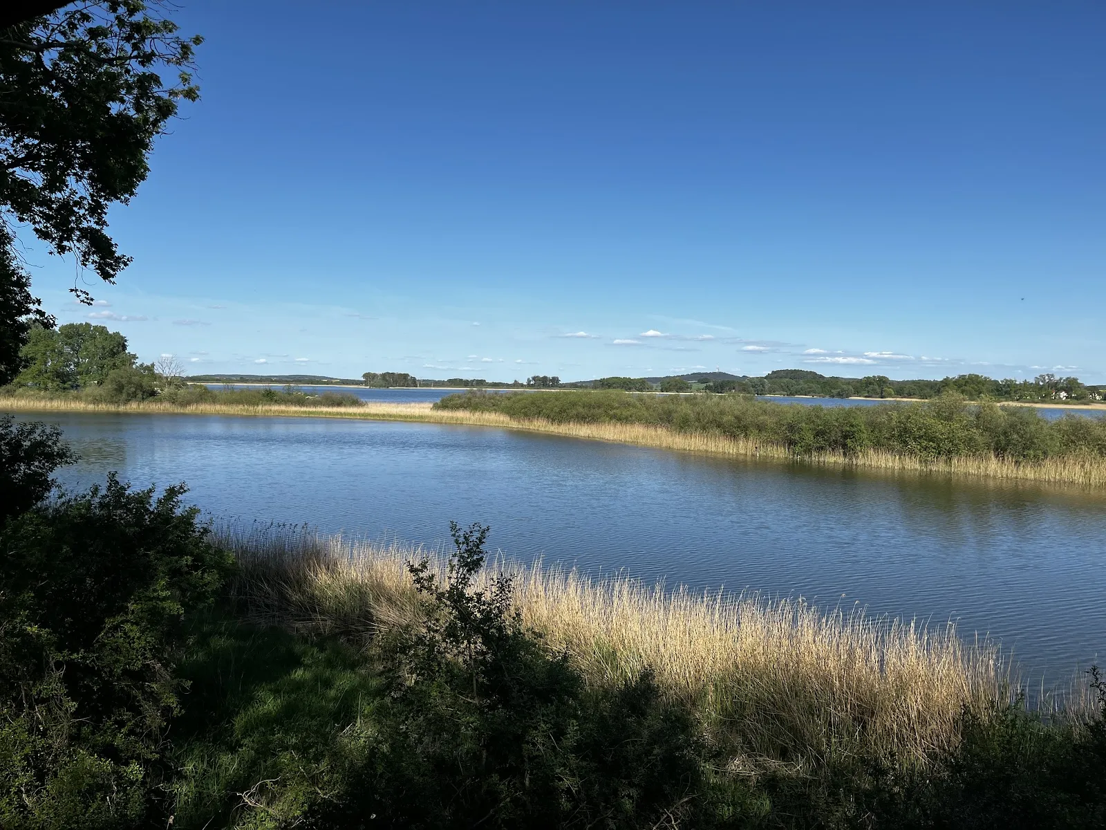 Бинзенбринк