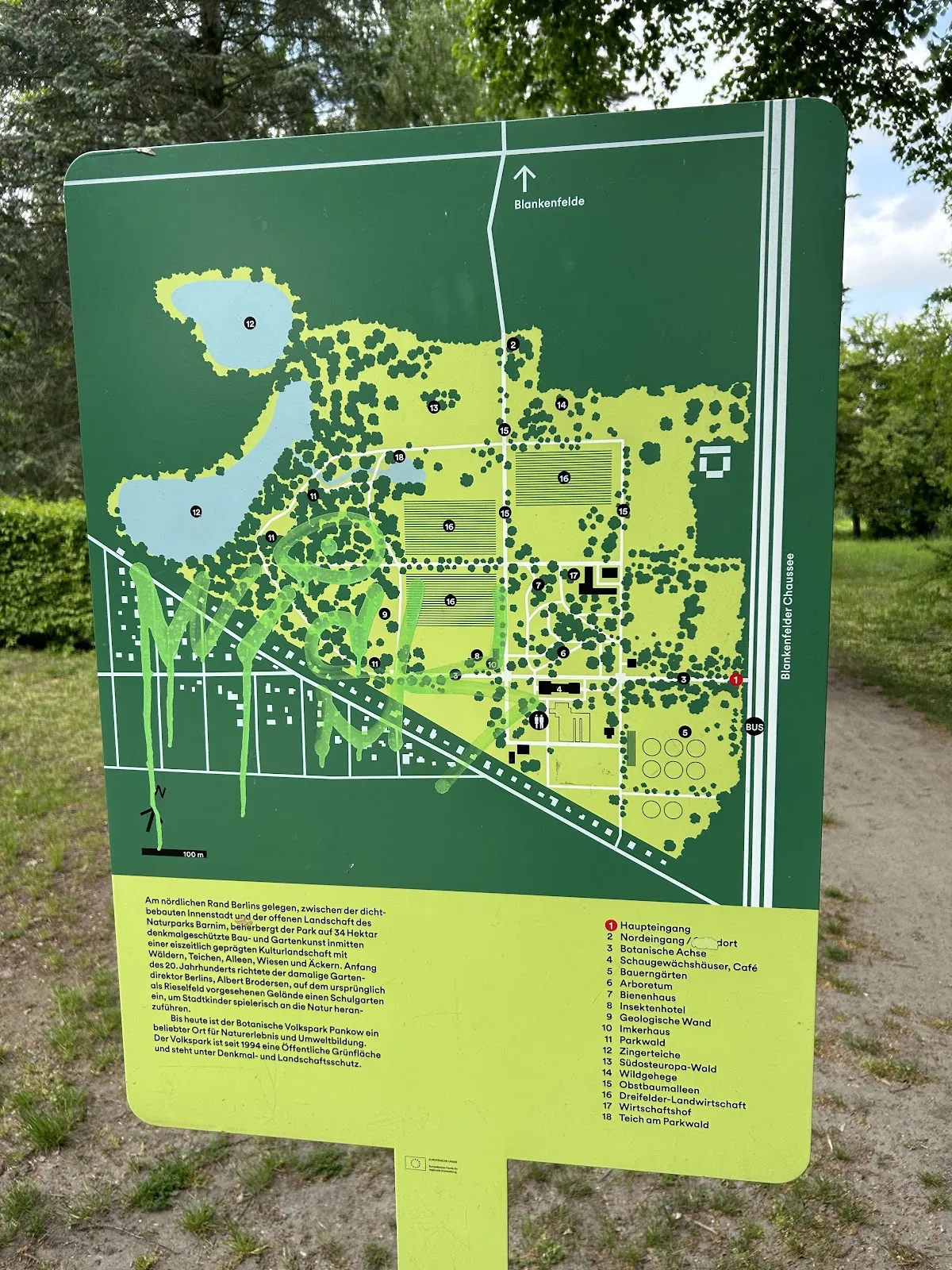 Панорамный вид на Ботанический народный парк Бланкенфельде-Панков с разнообразной растительностью