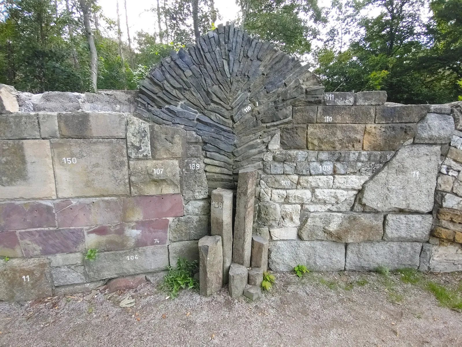 Панорамный вид на Ботанический народный парк Бланкенфельде-Панков с разнообразной растительностью