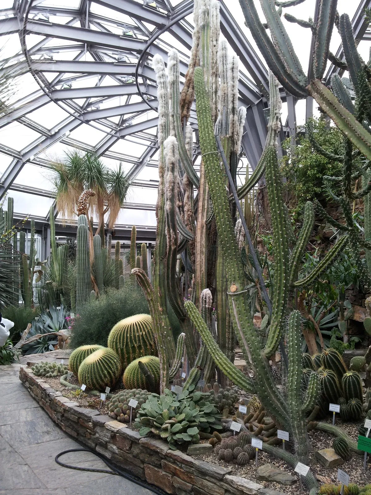 Ботанический сад Берлина