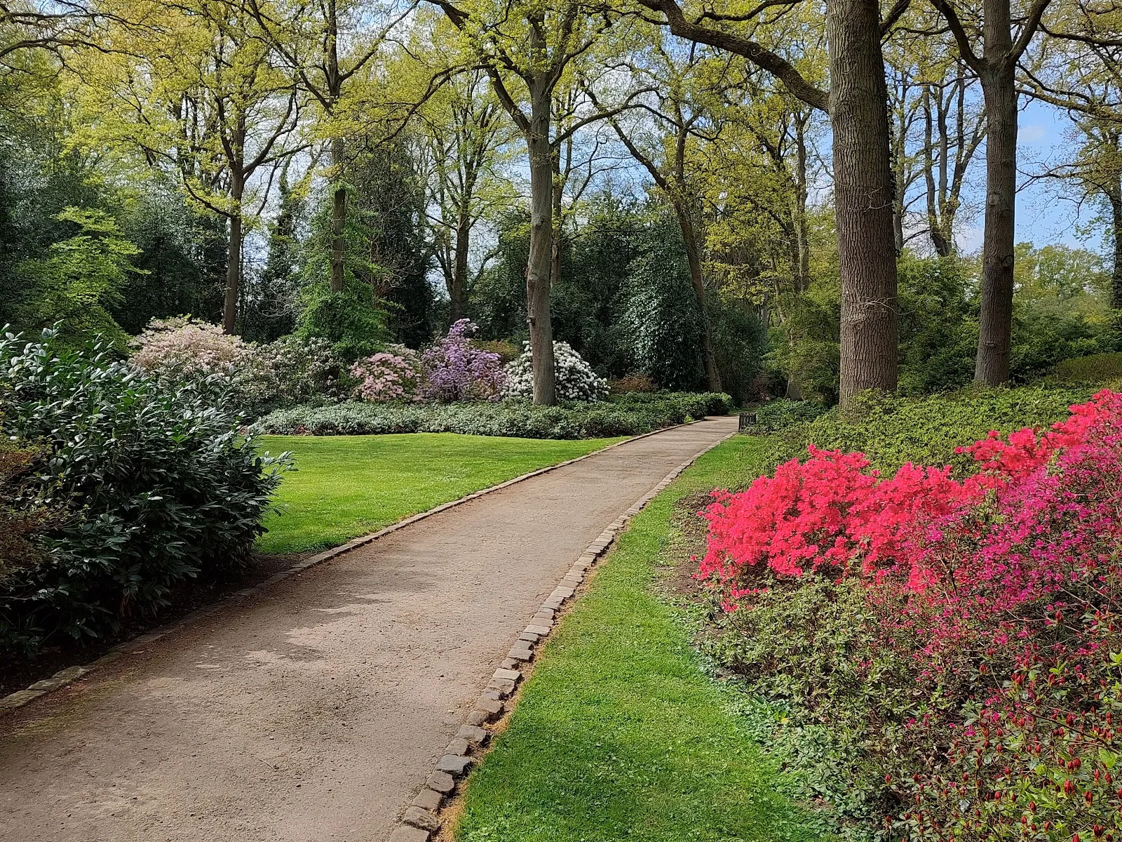 Ботанический сад Бремен, растения, природа, сад