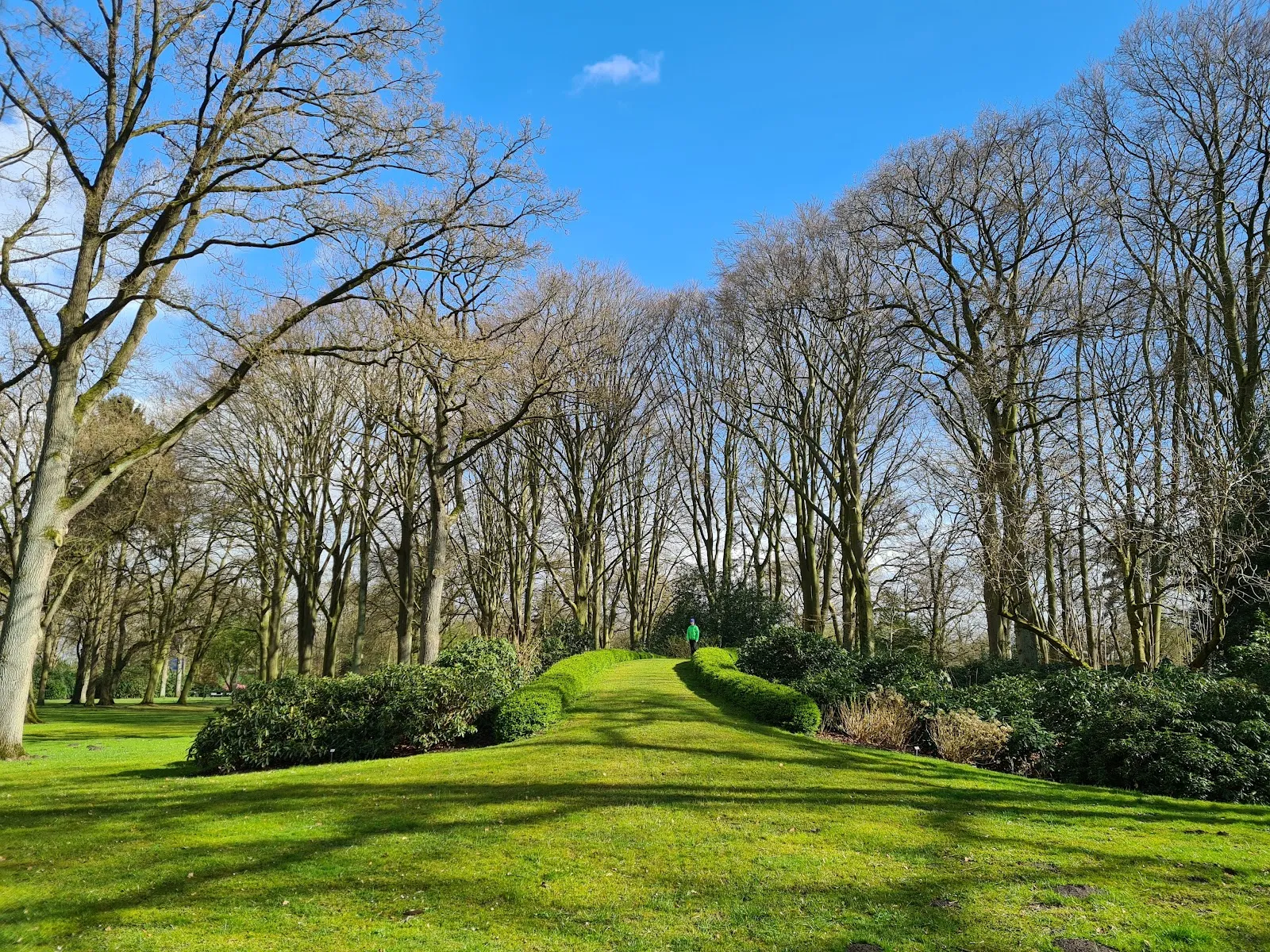 Ботанический сад Бремен, растения, природа, сад
