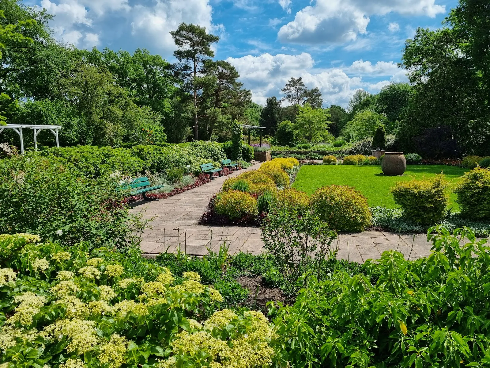 Ботанический сад Бремен, растения, природа, сад