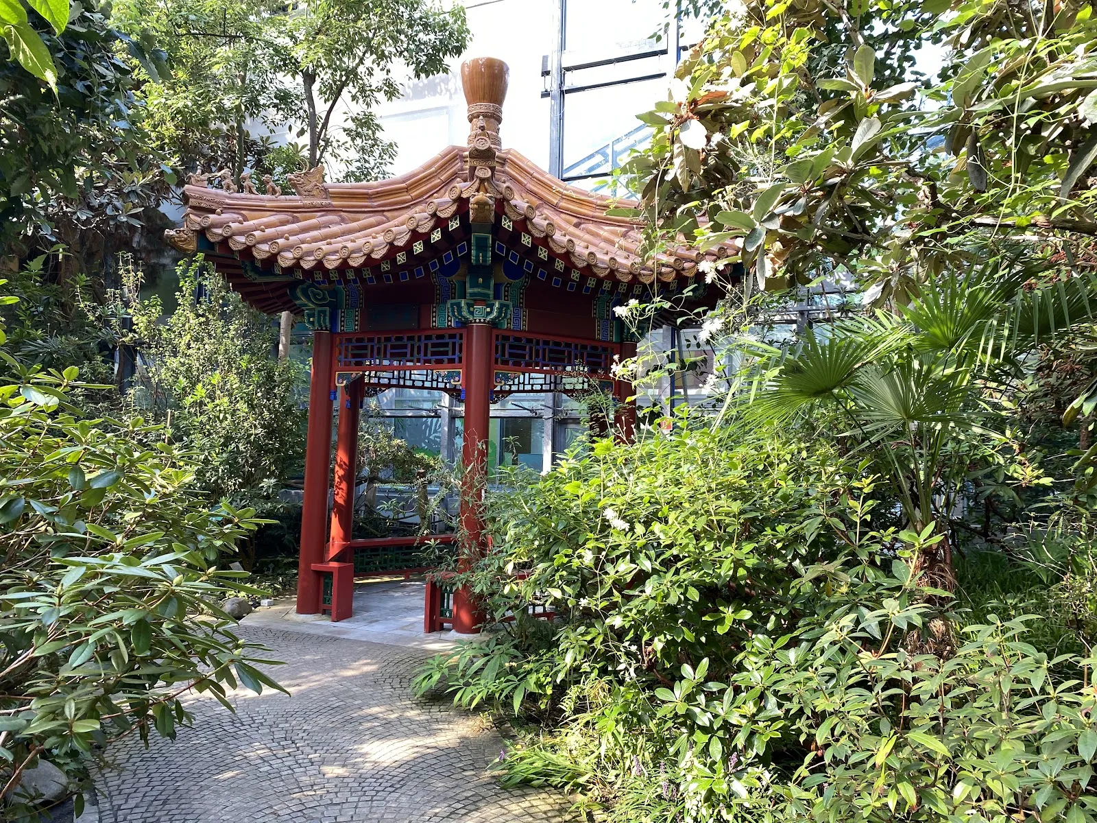 Ботанический сад Бремен, растения, природа, сад