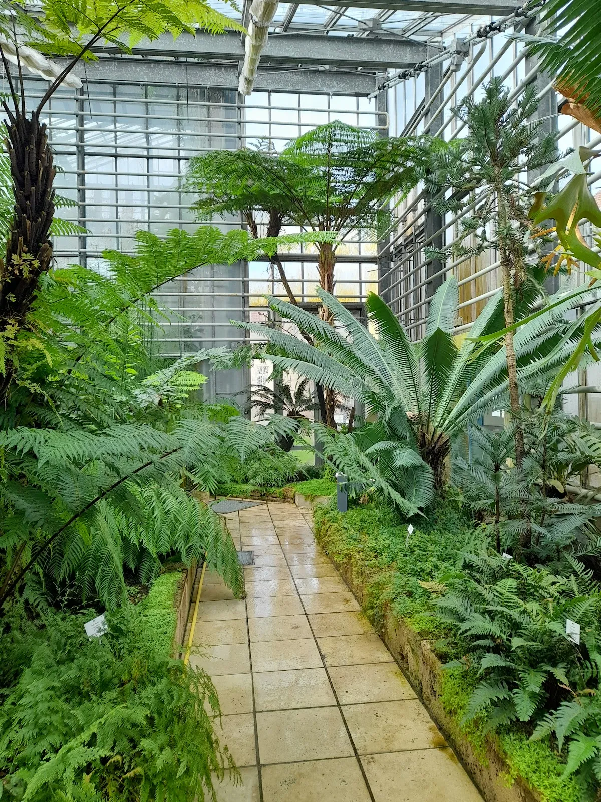 Ботанический сад Фрайбургского университета