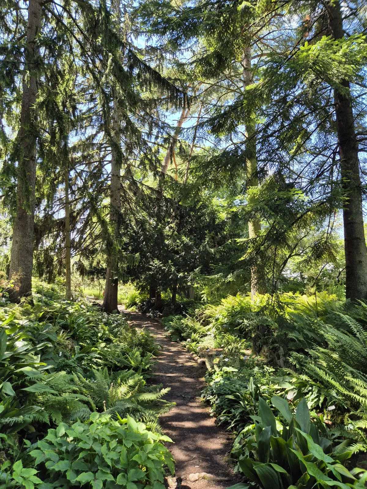 Ботанический сад Гейдельбергского университета с разнообразными растениями