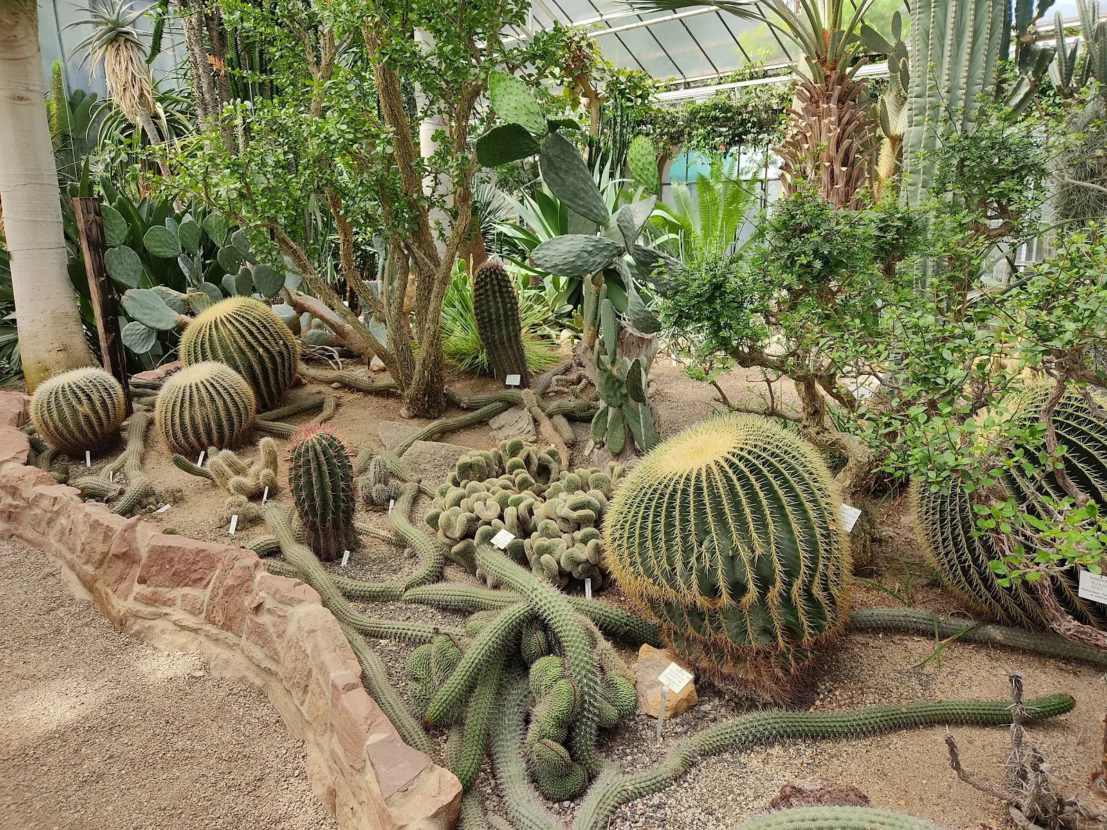 Ботанический сад Гейдельбергского университета с разнообразными растениями