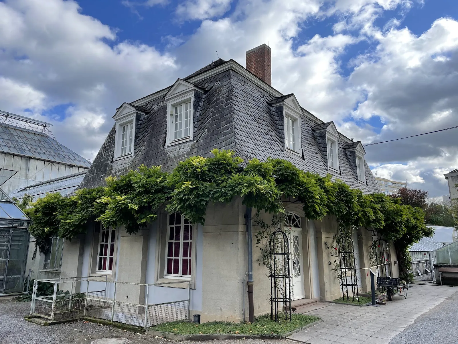 Ботанический сад Гейдельбергского университета с разнообразными растениями