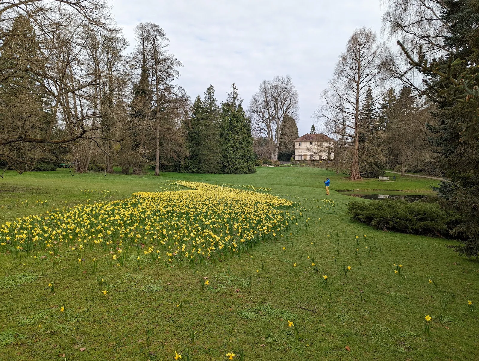 Экзотические растения в Ботаническом саду Хоэнхайм