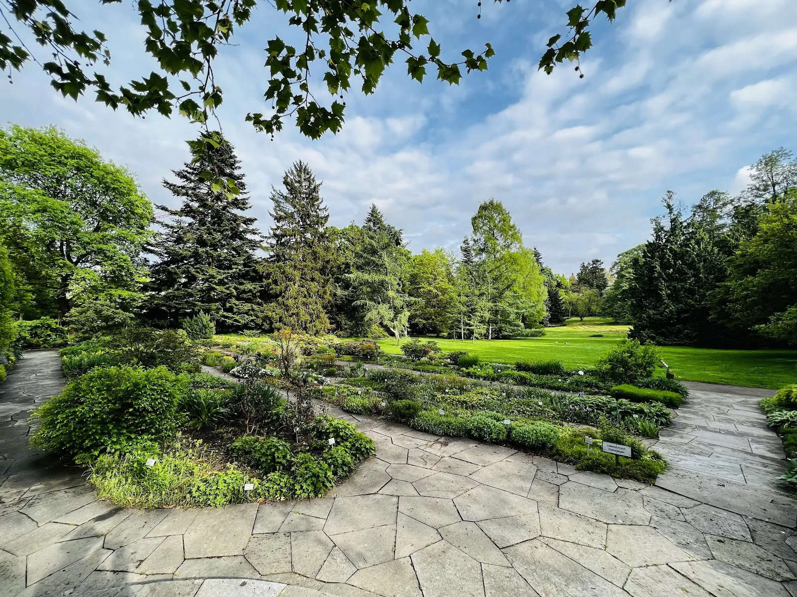 Экзотические растения в Ботаническом саду Хоэнхайм