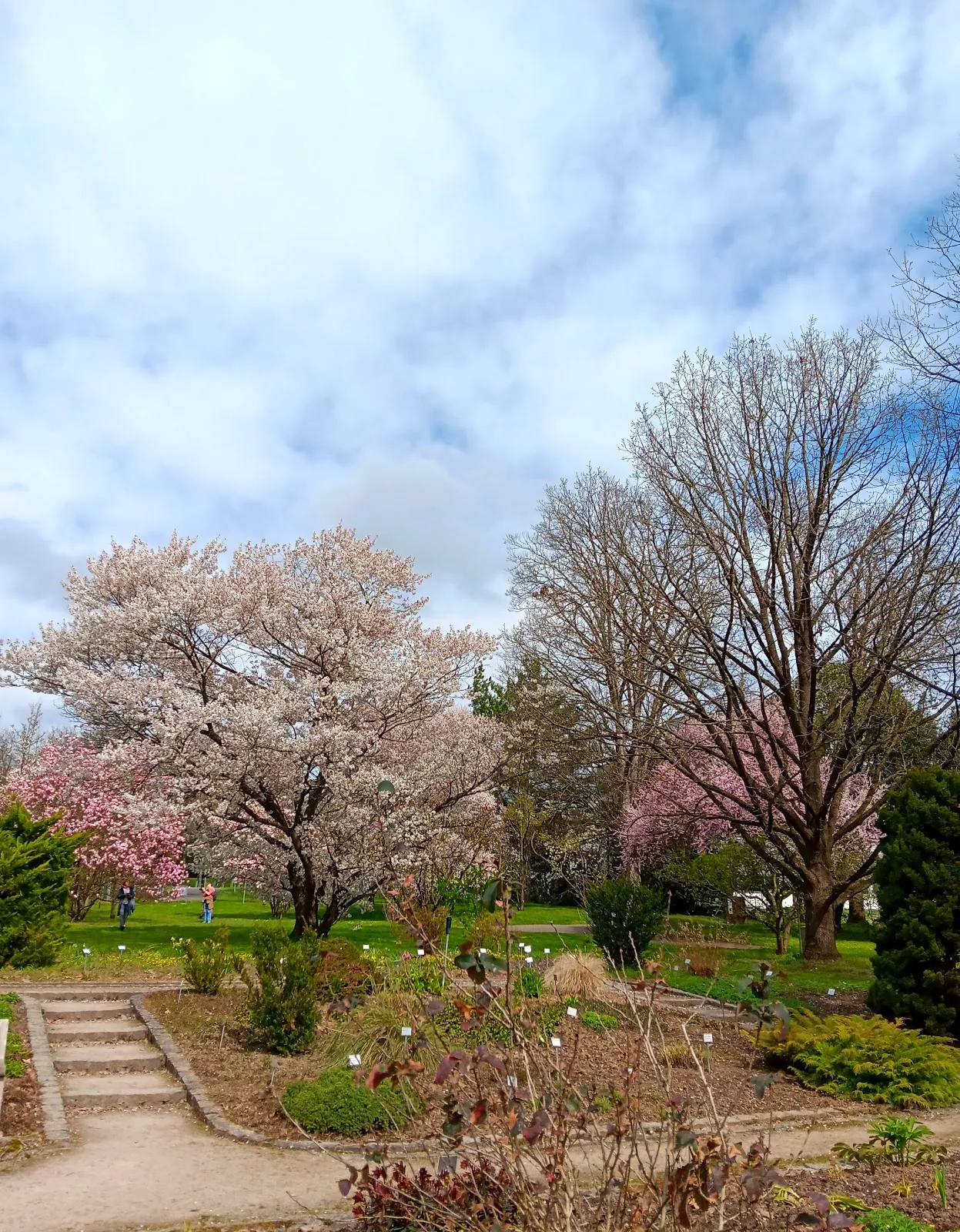 Экзотические растения в Ботаническом саду Хоэнхайм