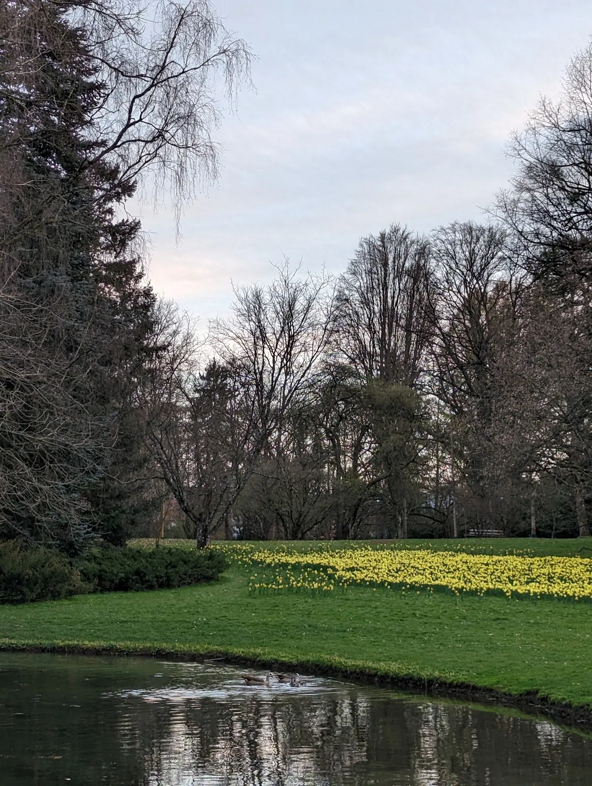 Экзотические растения в Ботаническом саду Хоэнхайм