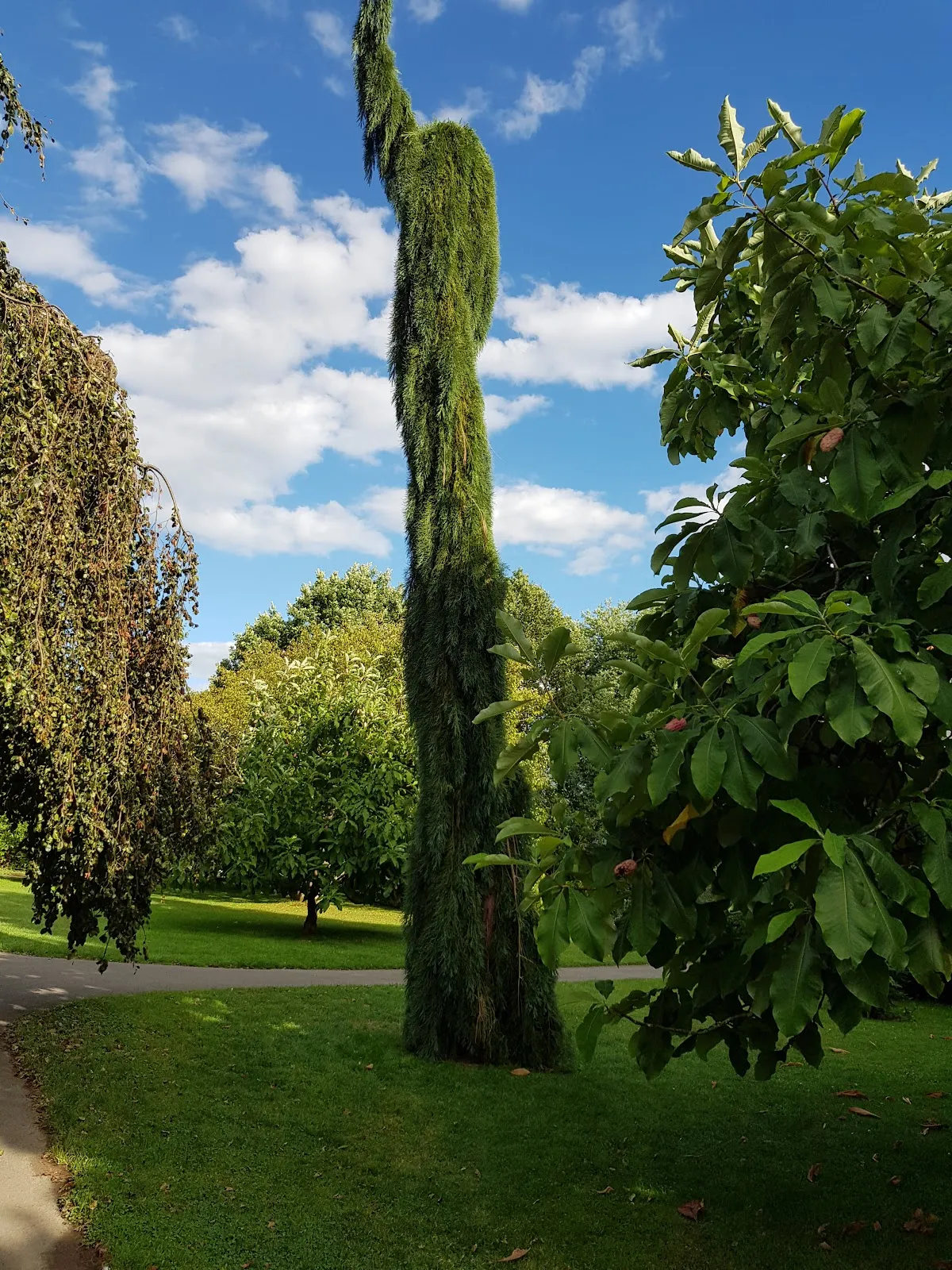 Экзотические растения в Ботаническом саду Хоэнхайм