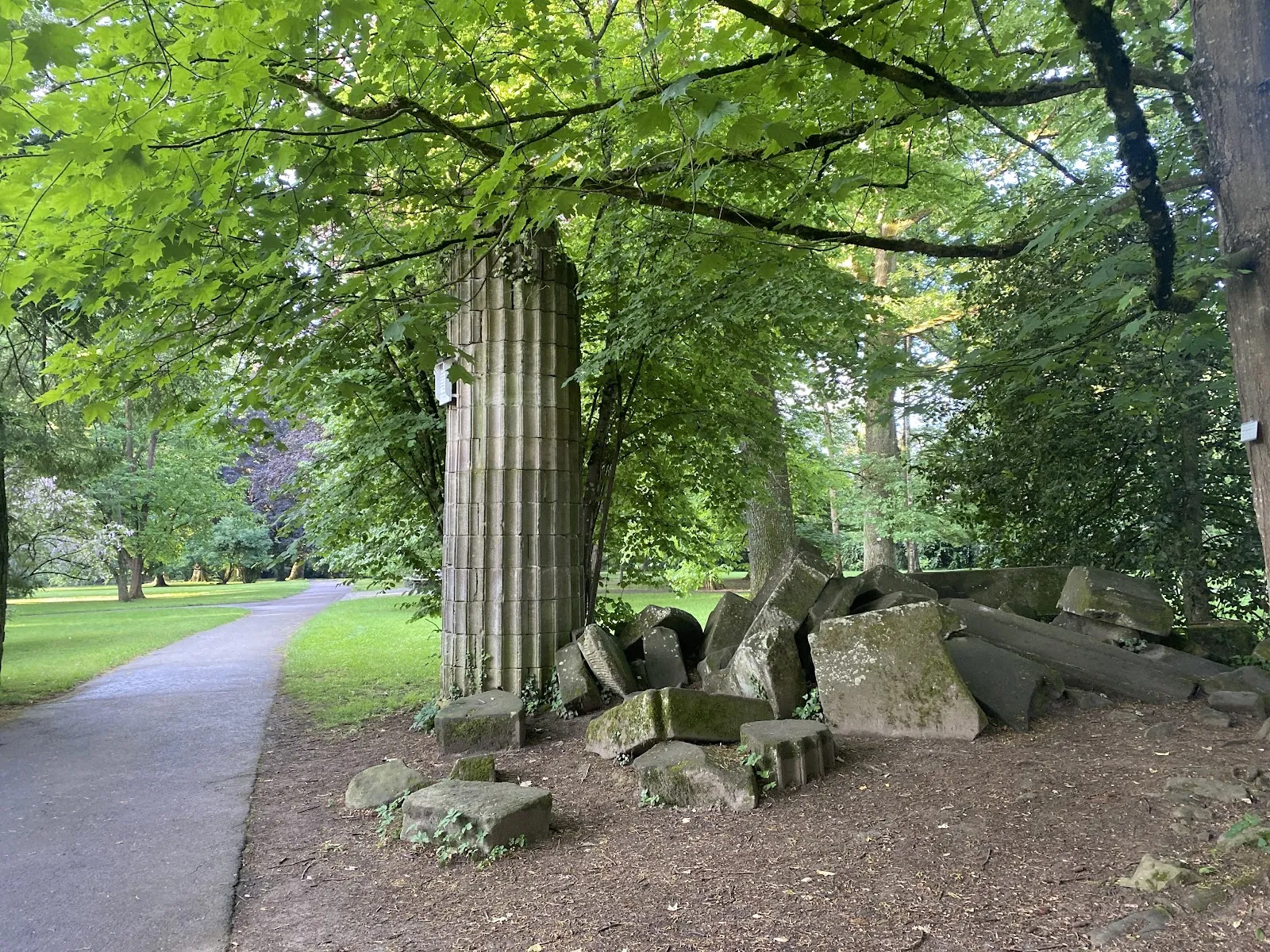 Экзотические растения в Ботаническом саду Хоэнхайм