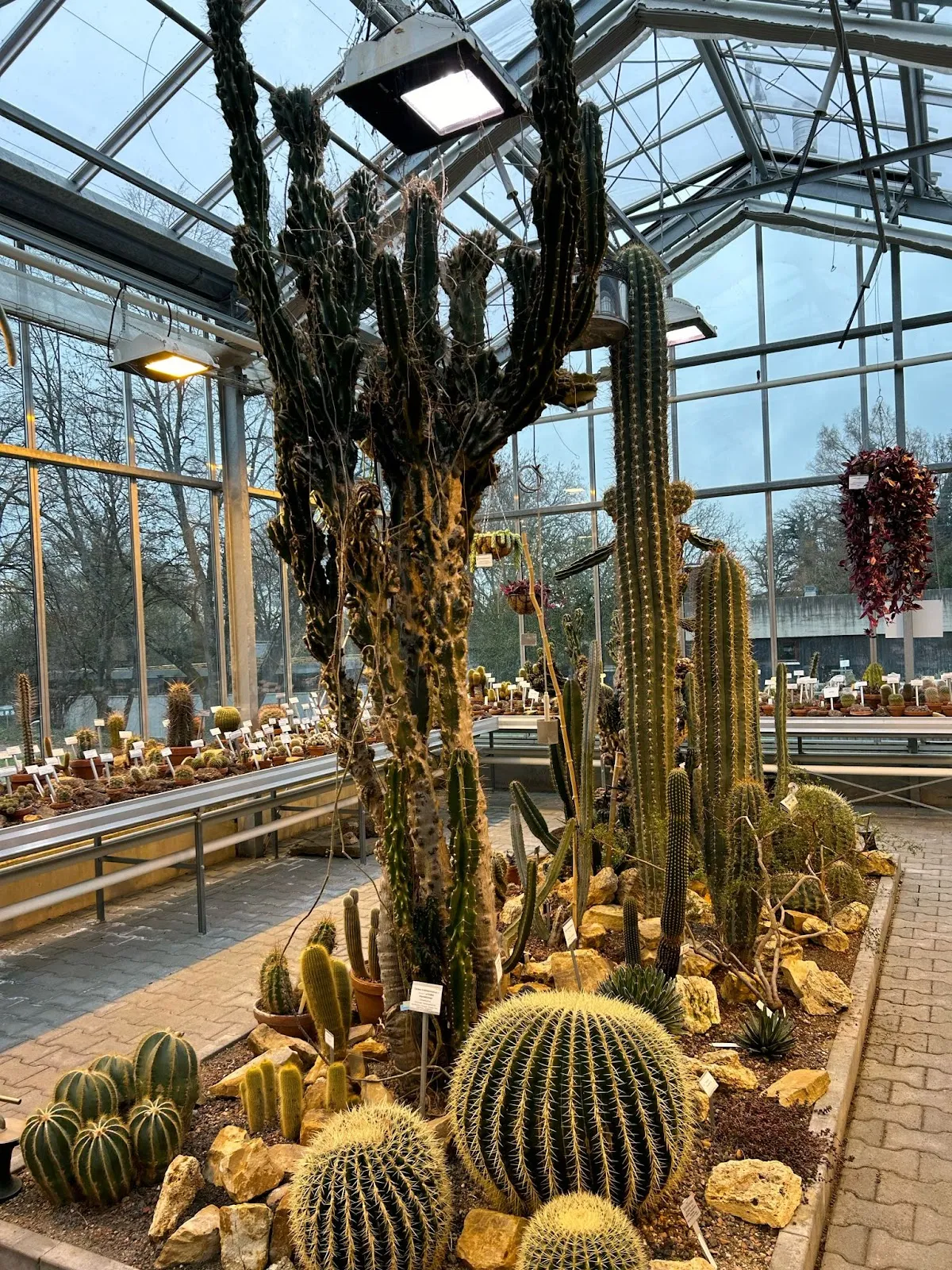 Ботанический сад Хоэнхаймер Гёртен