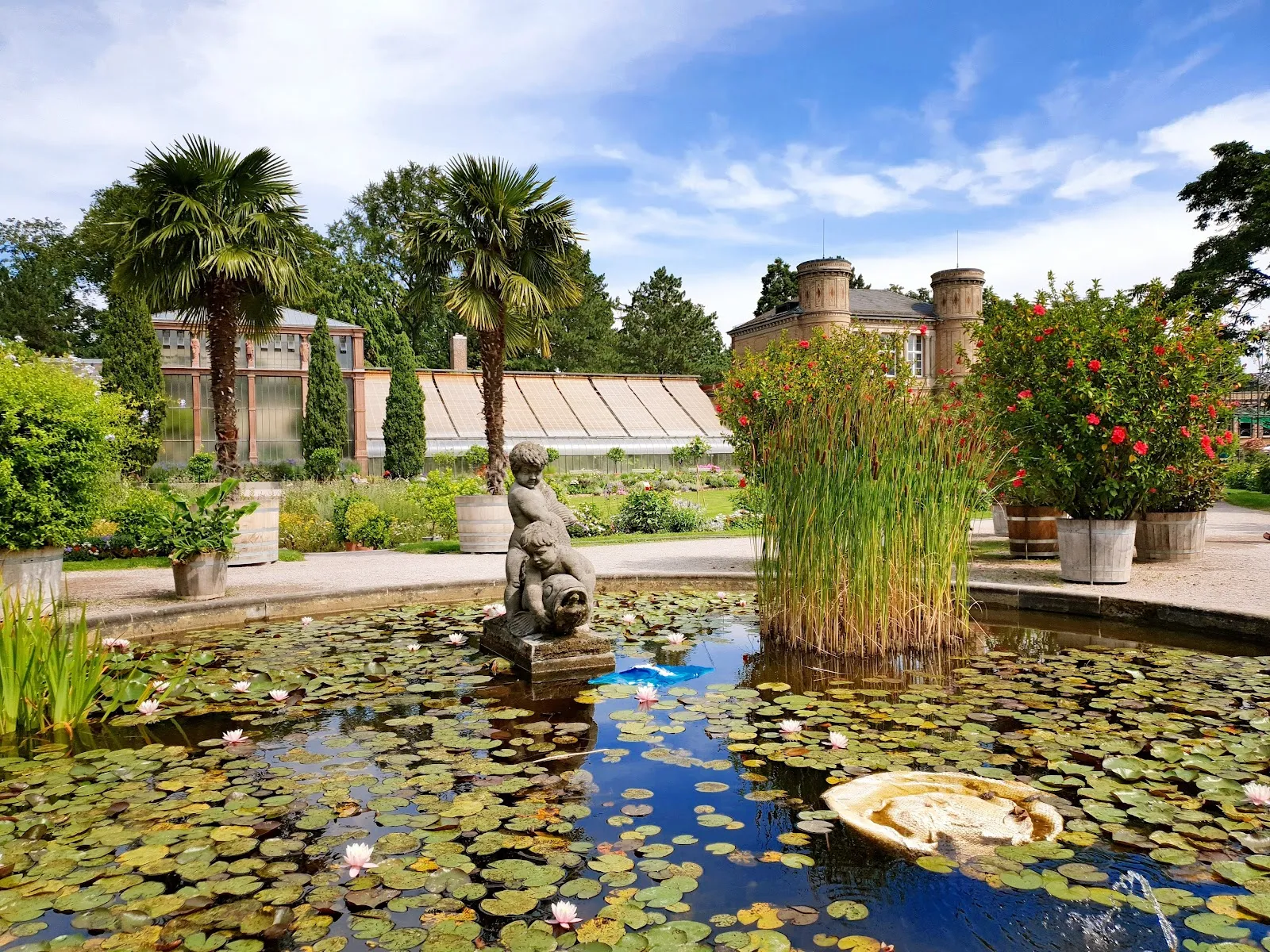 Ботанический сад Карлсруэ