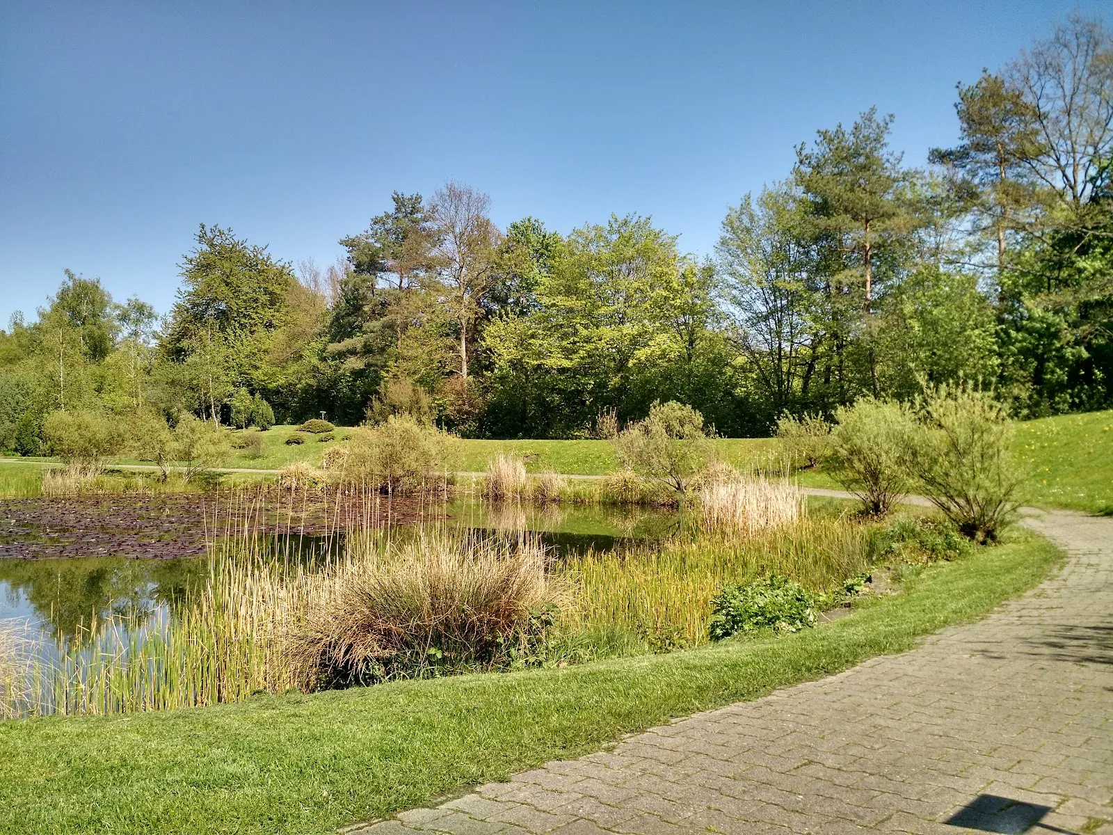 Ботанический сад Штутгарта