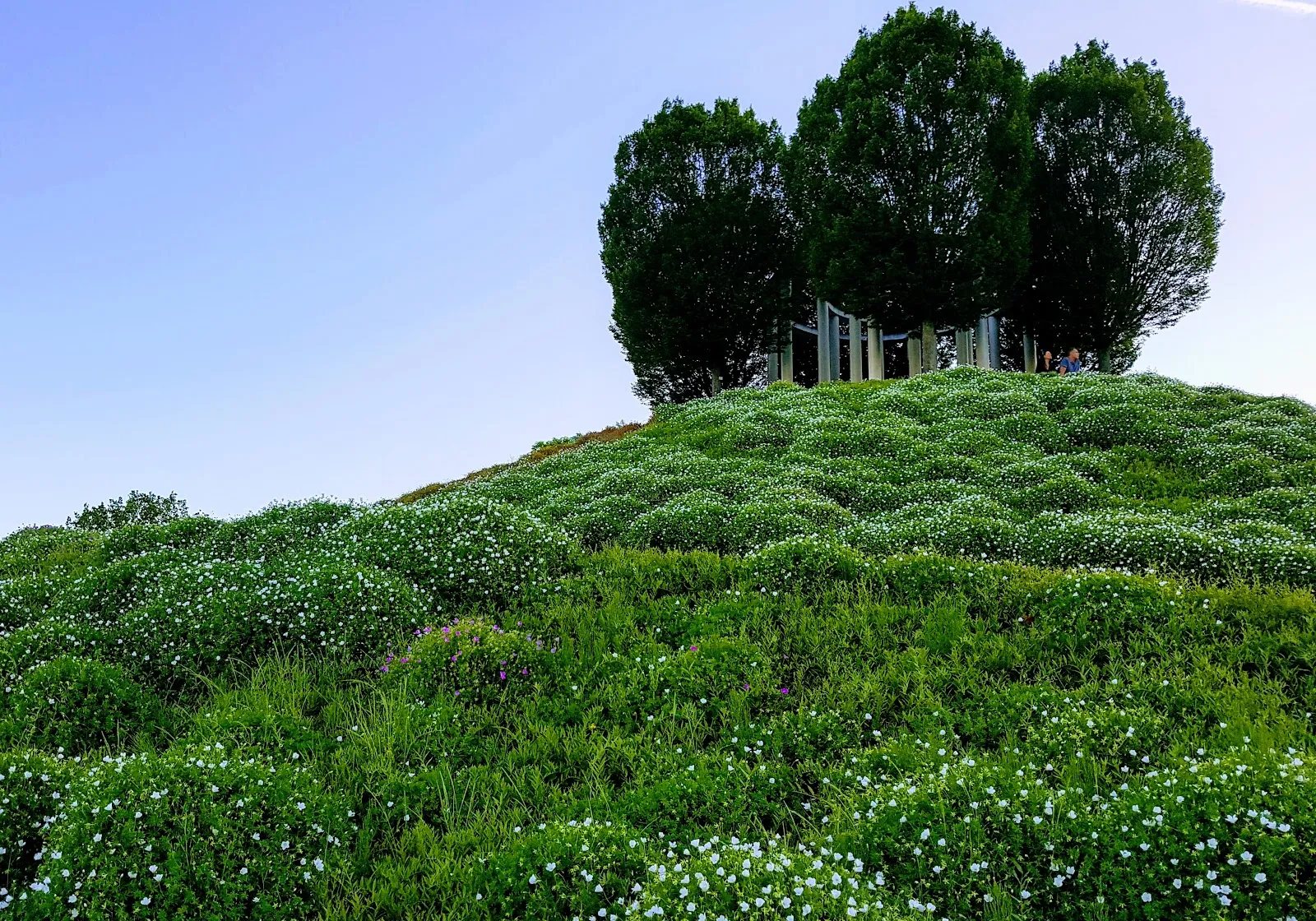 Ботанический сад Штутгарта