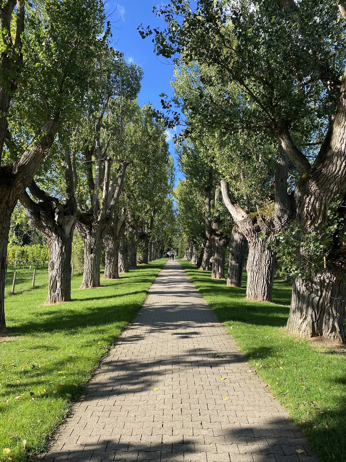 Ботанический сад Штутгарта