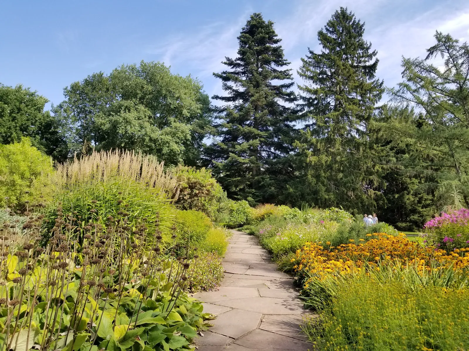 Ботанический сад Штутгарта