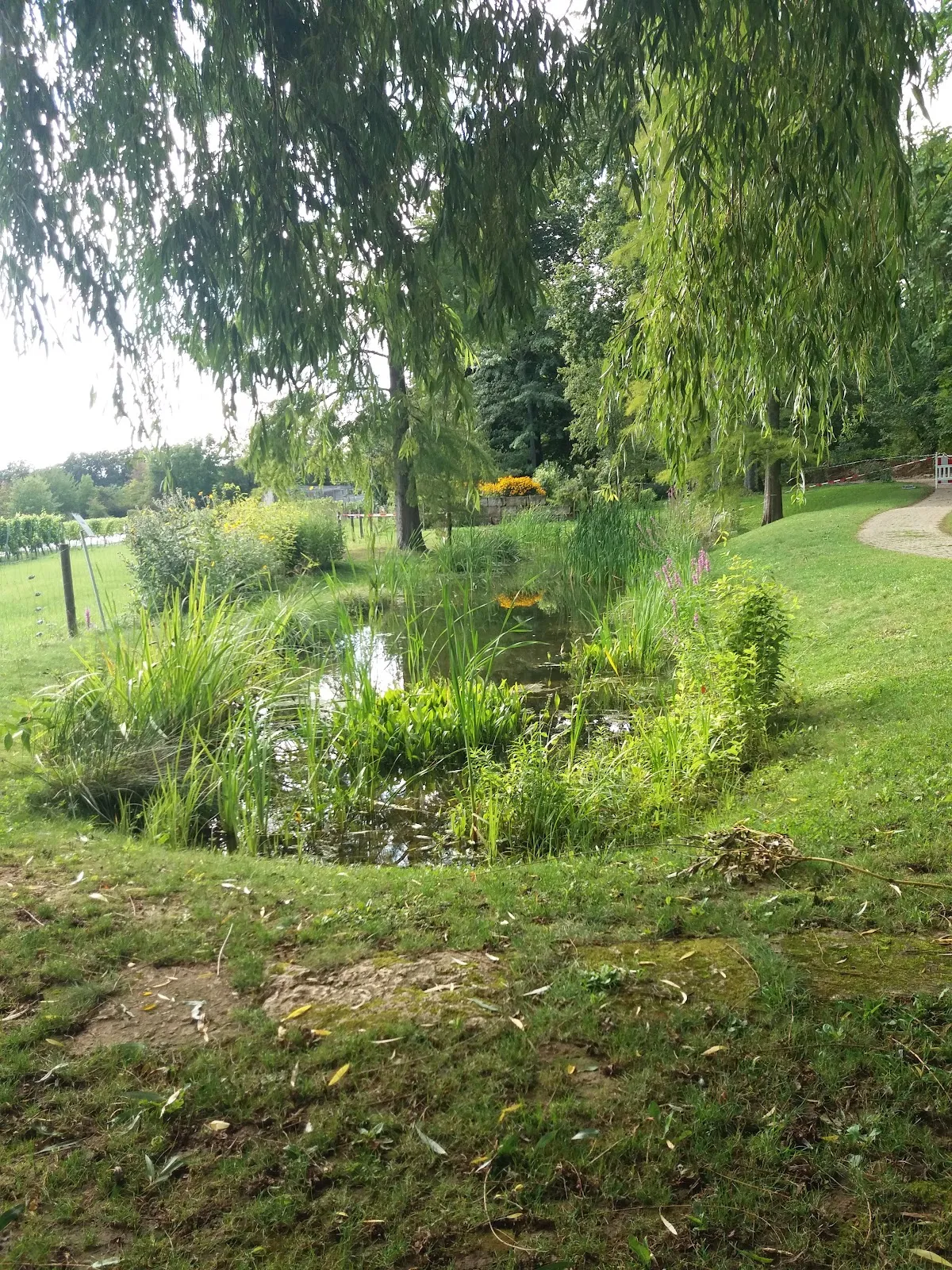 Ботанический сад Штутгарта