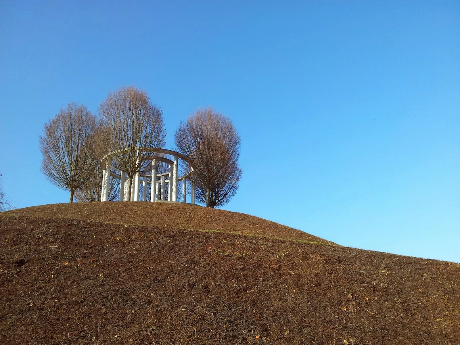 Ботанический сад Штутгарта