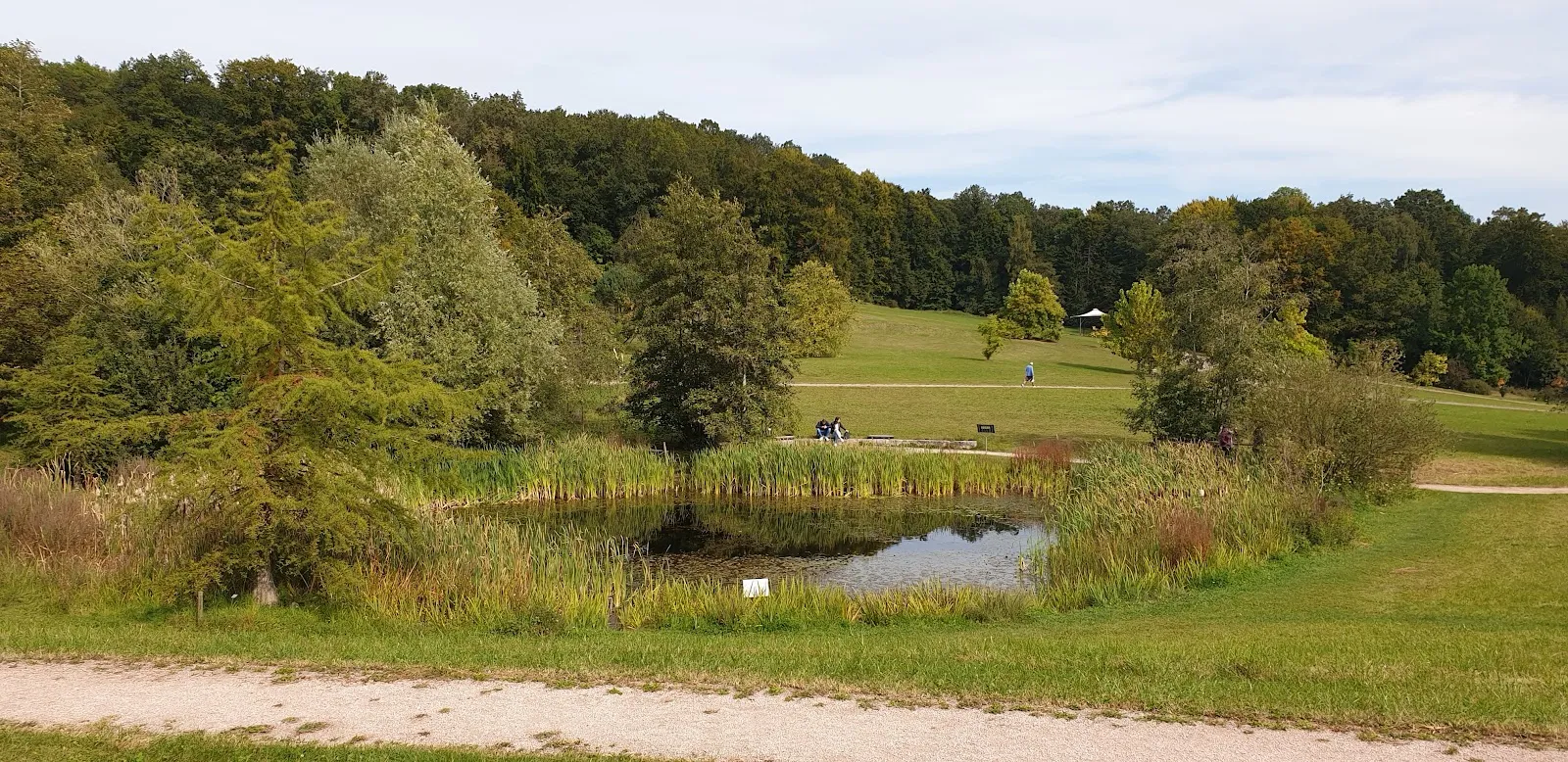 Вид на зеленую территорию Ботанического сада Ульмского университета с разнообразными растениями.