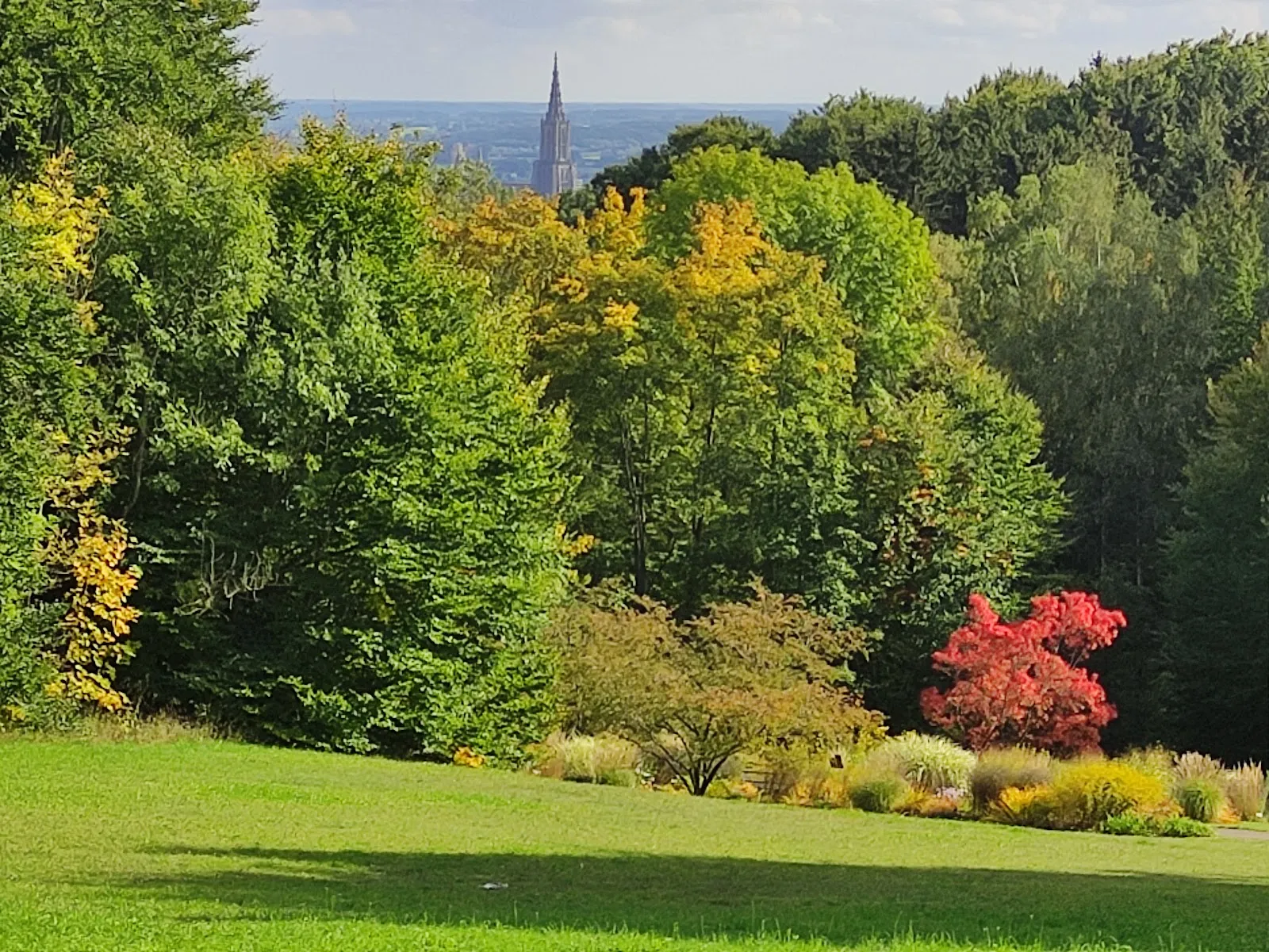 Вид на зеленую территорию Ботанического сада Ульмского университета с разнообразными растениями.