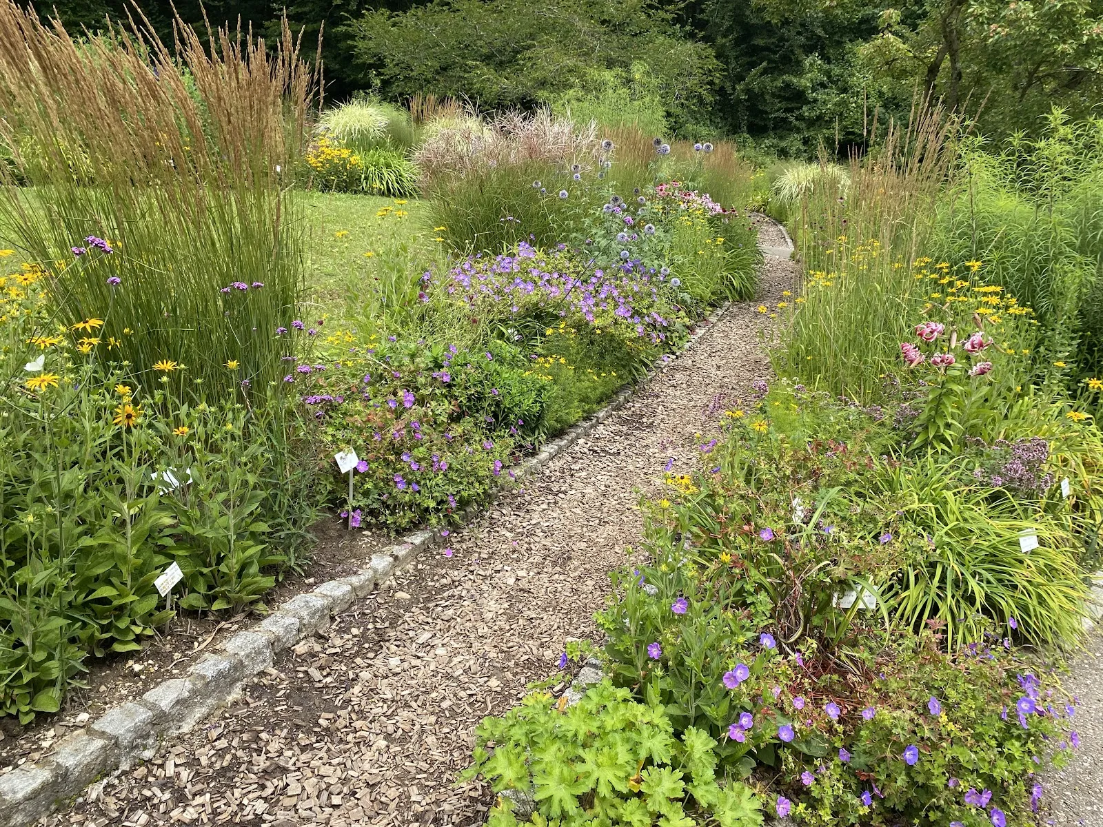 Вид на зеленую территорию Ботанического сада Ульмского университета с разнообразными растениями.