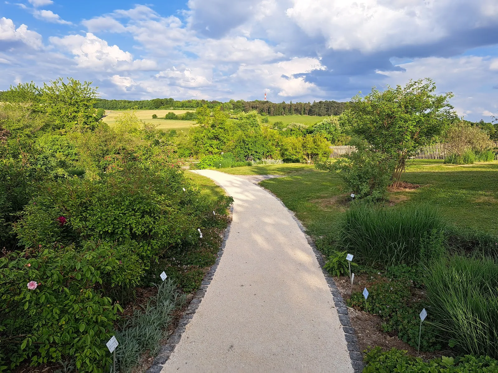 Вид на зеленую территорию Ботанического сада Ульмского университета с разнообразными растениями.