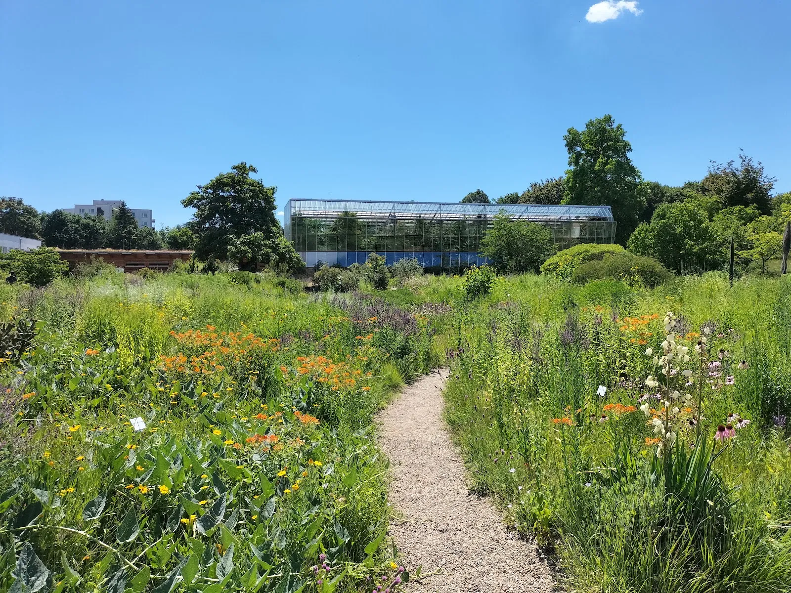 Ботанический сад Вюрцбургского университета, зелёные растения, оранжереи