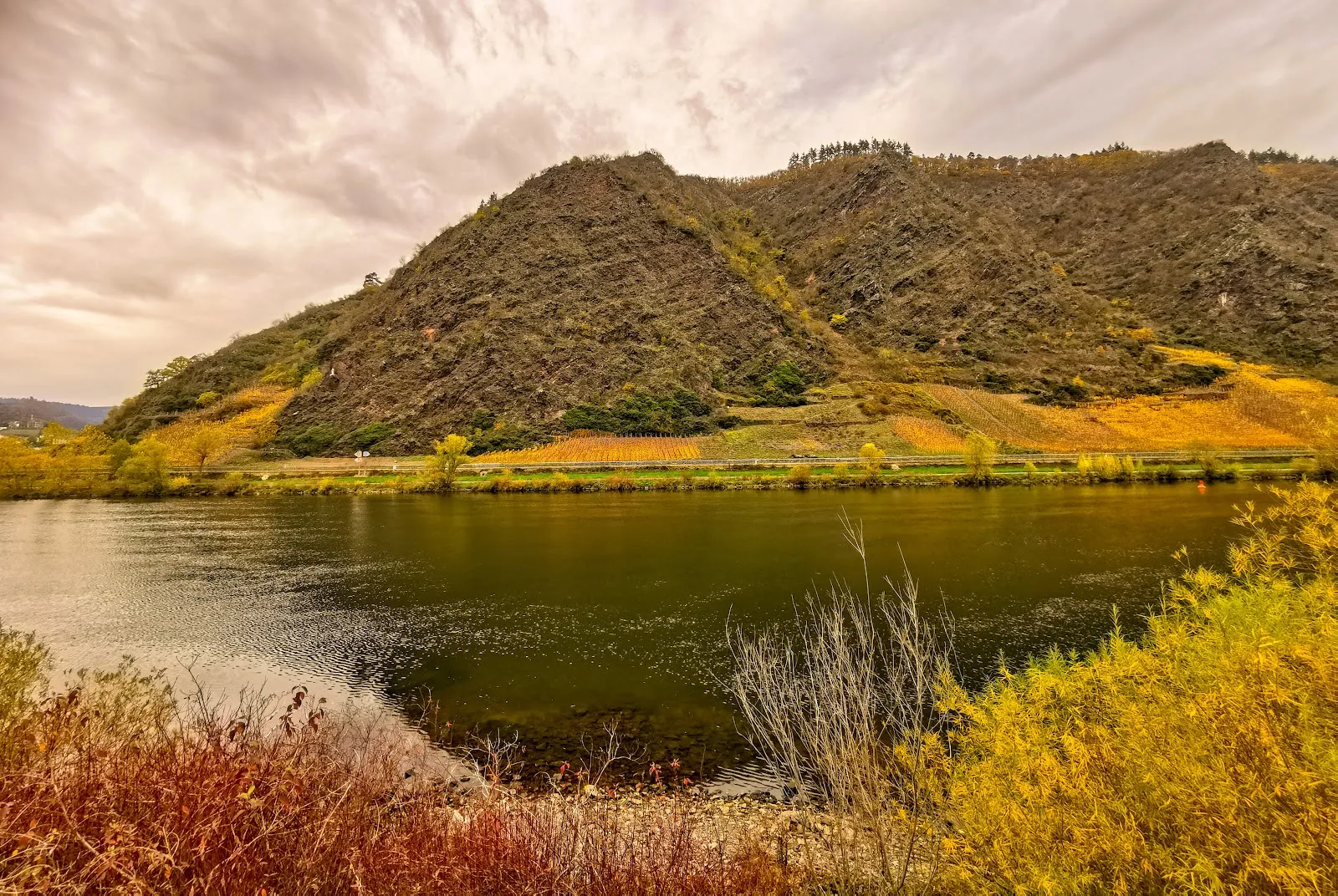 Вид на сад Браузелай с виноградниками и видом на замок Кохем