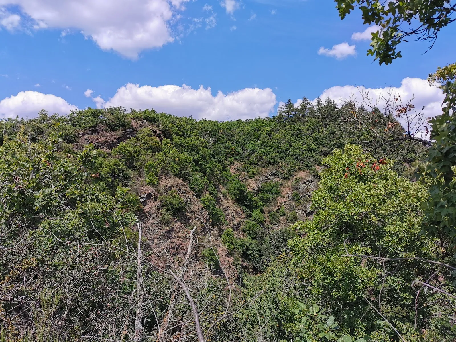 Вид на сад Браузелай с виноградниками и видом на замок Кохем