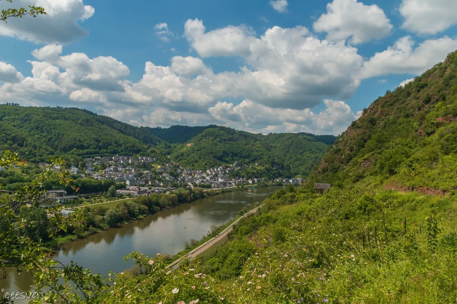Вид на сад Браузелай с виноградниками и видом на замок Кохем