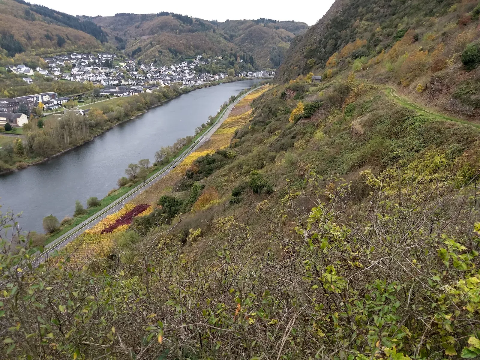 Вид на сад Браузелай с виноградниками и видом на замок Кохем