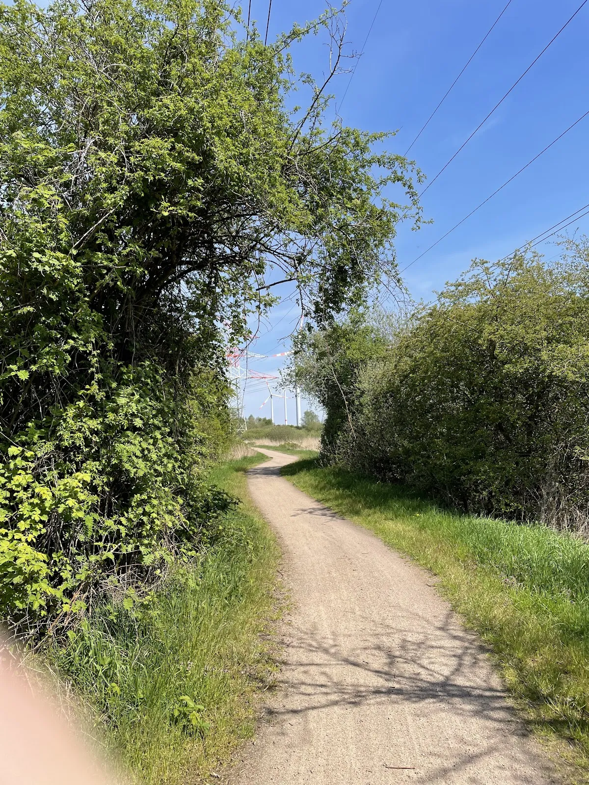 Пейзаж природного заповедника Бремен в Германии.