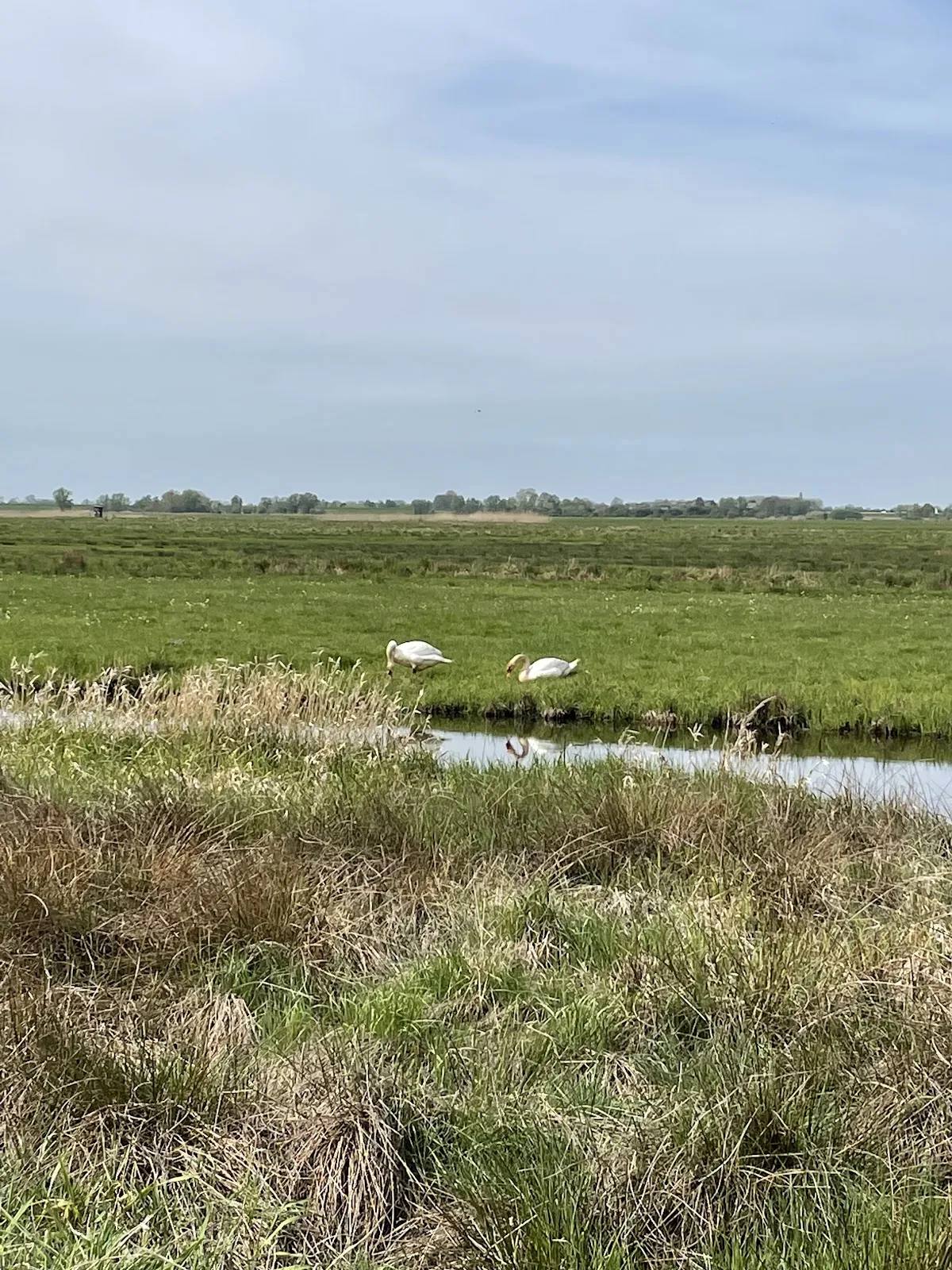 Пейзаж природного заповедника Бремен в Германии.