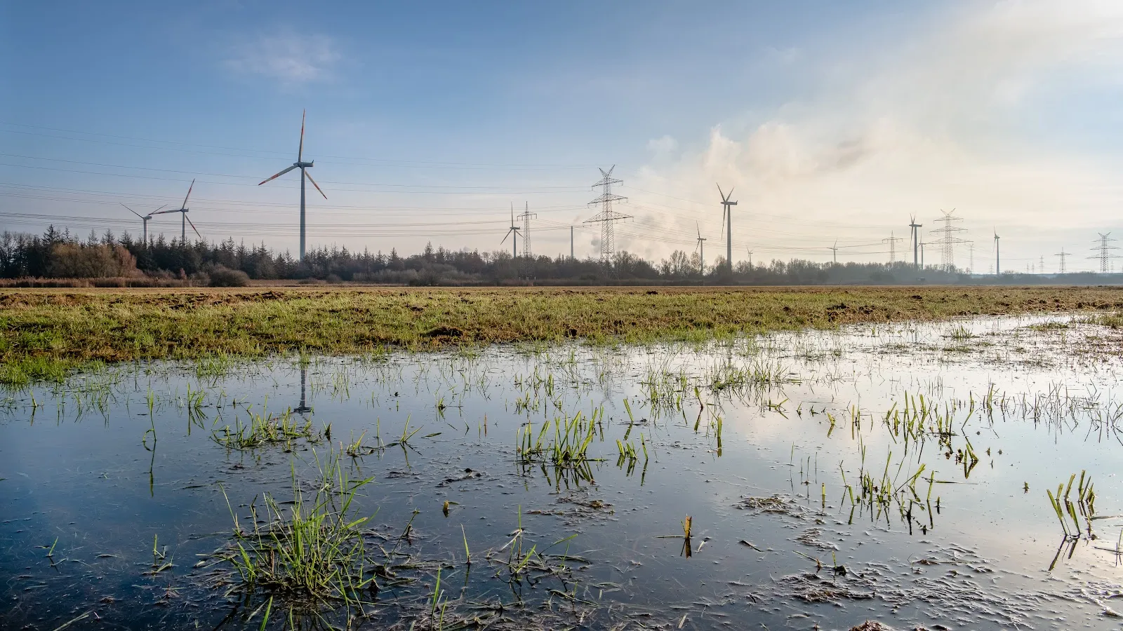 Пейзаж природного заповедника Бремен в Германии.