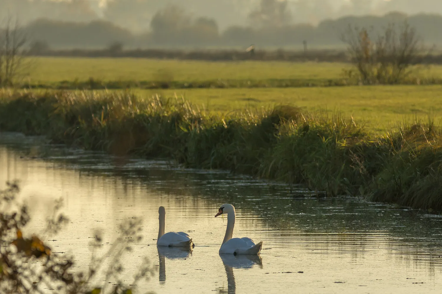 Пейзаж природного заповедника Бремен в Германии.