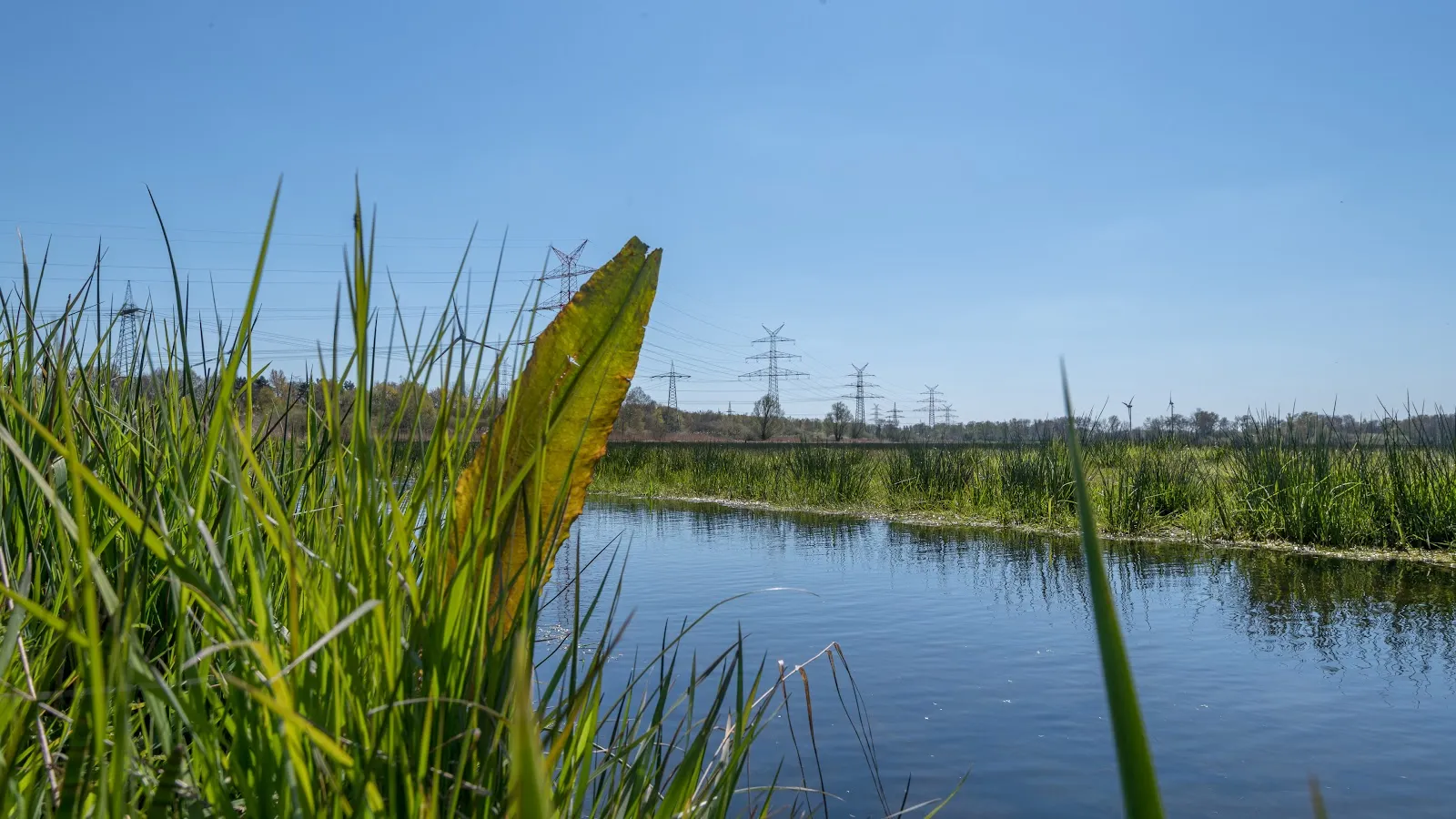 Пейзаж природного заповедника Бремен в Германии.