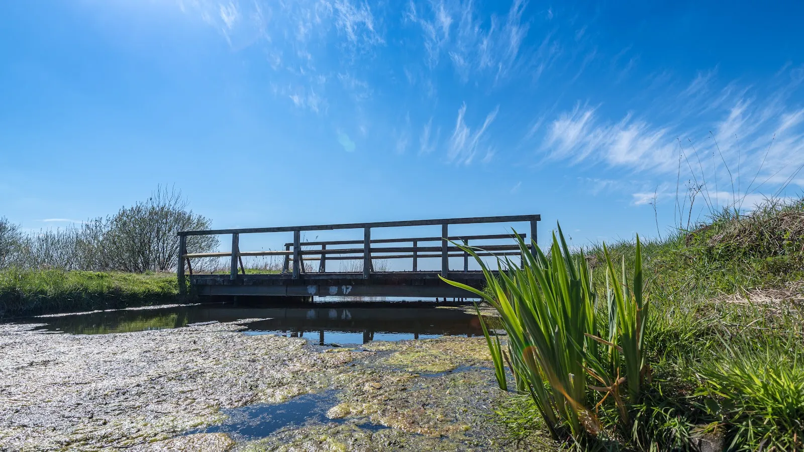 Пейзаж природного заповедника Бремен в Германии.